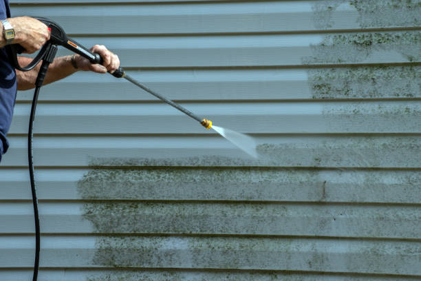 Best House Exterior Washing  in Lake Grove, NY